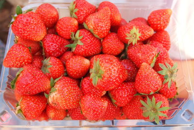 Close-up of strawberries