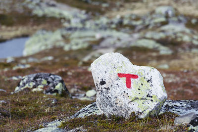 Close-up of rock on field