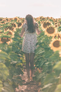 Rear view of woman standing on field against sky