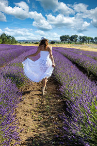 Young woman seen from behind walking in the middle of a lavender field. 