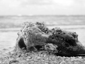 Close-up of rock on beach