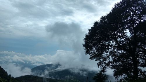 Low angle view of trees against cloudy sky