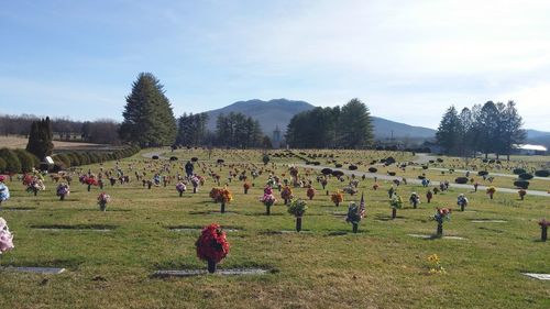 View of cemetery on field against sky