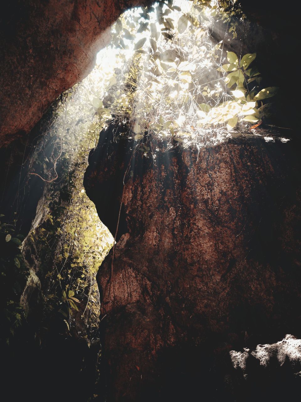 LOW ANGLE VIEW OF ROCK IN WATER