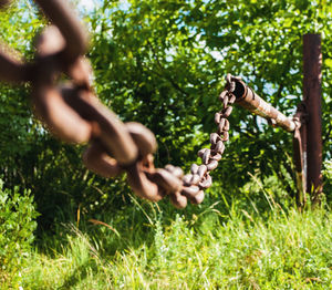 Old rusty chain on the field on background of the sky