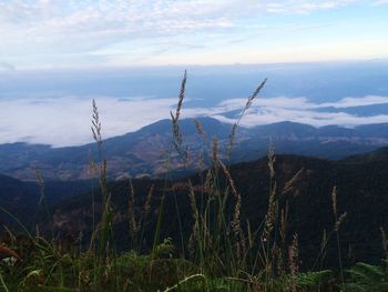 Scenic view of mountains against sky during sunset