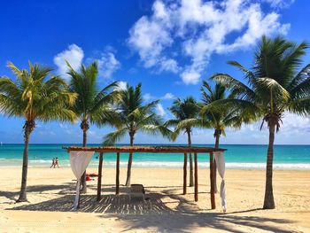 Palm trees on beach against blue sky