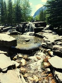 Water flowing through rocks in forest