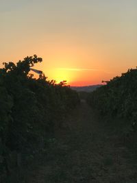 Scenic view of silhouette landscape against orange sky