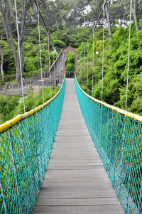 Narrow footbridge along trees