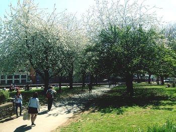 Footpath in park