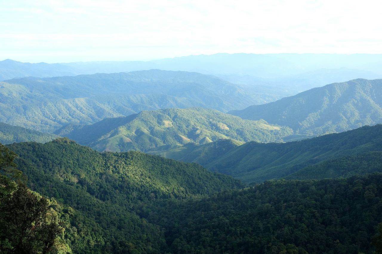 Kawin Pakdeekulsampan