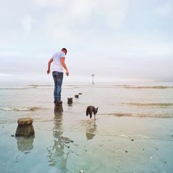 Man standing on wooden post while dog walking on sea shore