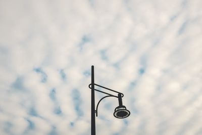 Close-up of tree against sky