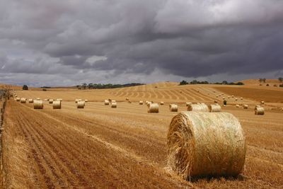 Hay bales in field against cloudy sky