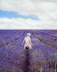 Rear view of woman on lavender field