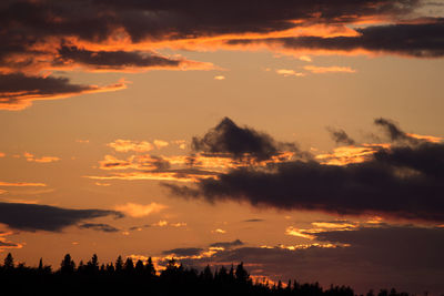 Low angle view of silhouette trees against sky during sunset