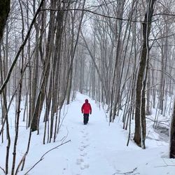 Rear view of person on snow covered land