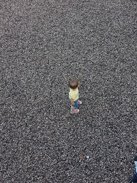 Low section of child standing on road