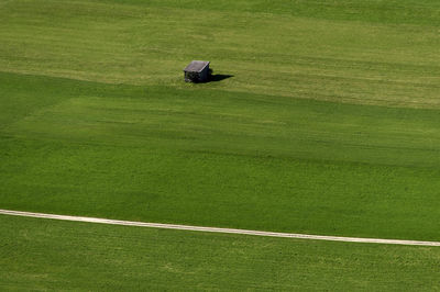 High angle view of man relaxing on tree