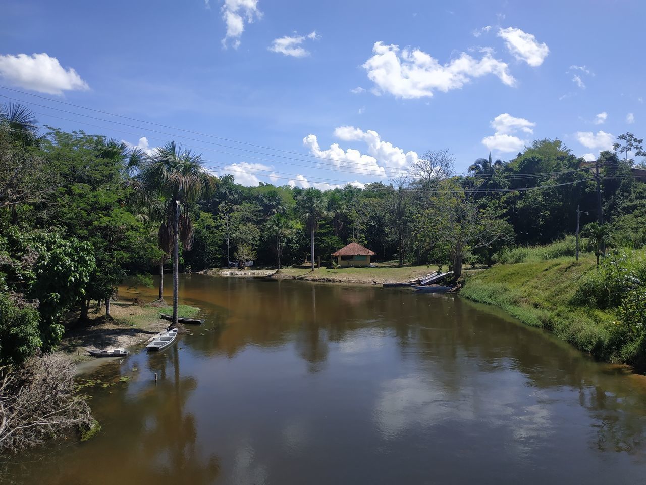 SCENIC VIEW OF TREES BY LAKE AGAINST SKY