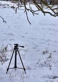 Scenic view of snow covered tree