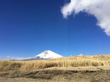 Scenic view of landscape against clear blue sky