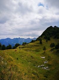 Scenic view of mountains against sky