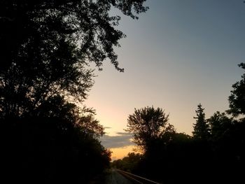 Silhouette trees by road against sky during sunset