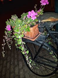 High angle view of potted plants on table