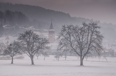 Trees on snow covered landscape against sky