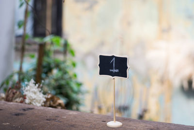 Close-up of drink on table against wall