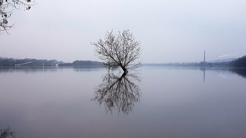 Reflection of tree in lake against sky