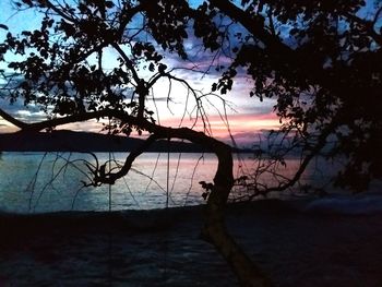 Silhouette trees on shore against sky during sunset