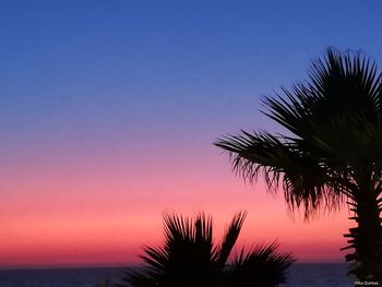 Silhouette coconut palm tree against sea during sunset