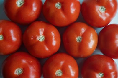 Fresh delicious tomatoes