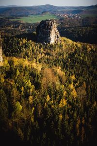 High angle view of trees on landscape