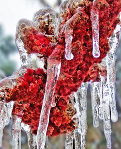 Close-up of icicles hanging outdoors