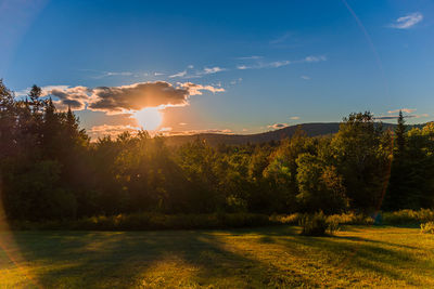 Trees on landscape against sky during sunset