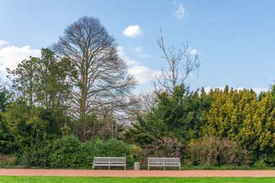 Bench by trees on field against sky