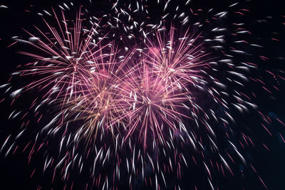 Low angle view of firework display at night