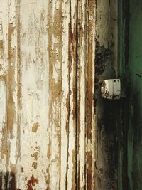 Close-up of wooden door