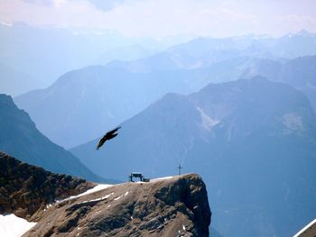 Birds flying over mountains against sky
