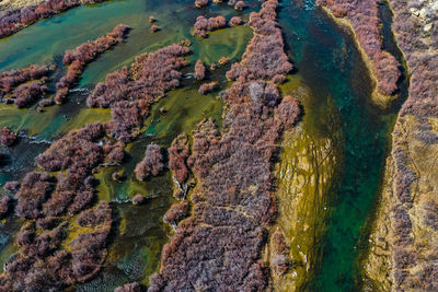 Full frame shot of rock in sea