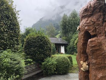 Trees and plants growing on rocks against sky