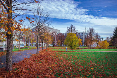 Trees on field against sky during autumn