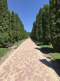 Footpath in park against clear sky
