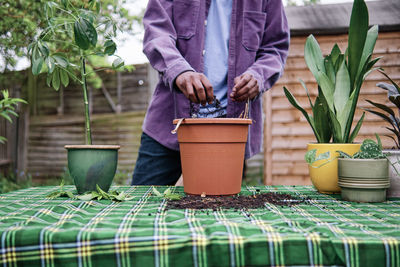 Midsection of man holding potted plant on table