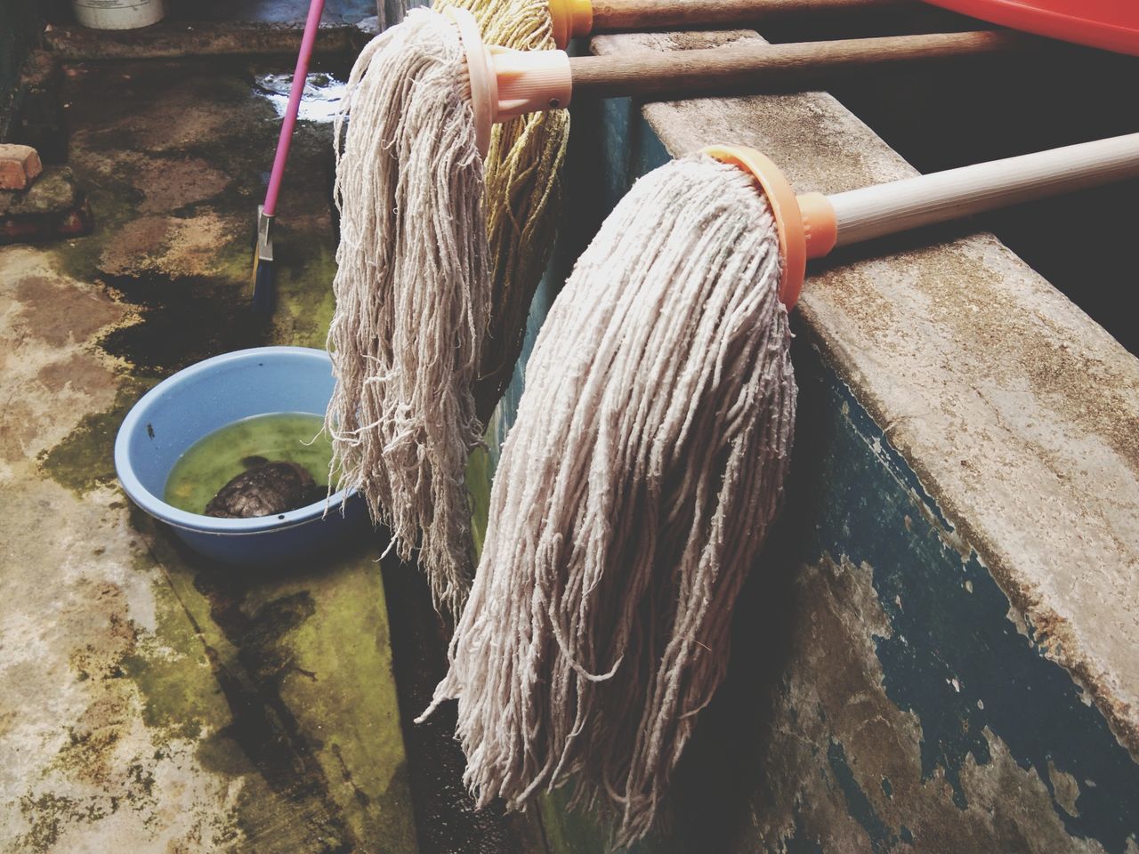 no people, day, close-up, still life, rock, rope, outdoors, high angle view, hygiene, rock - object, wood - material, solid, group of objects, nature, cleaning, mop, wool, textile, equipment