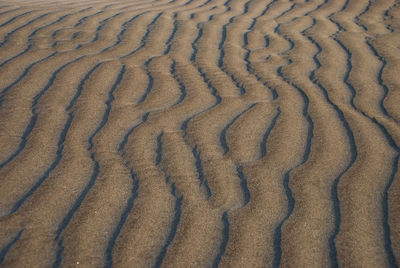 Full frame shot of wave pattern in sand at desert